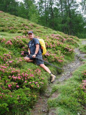 Juli - Flachau - auf dem Weg zum Lakenkogel